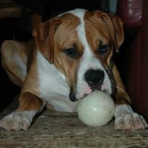 Meet your Posher, Nancy